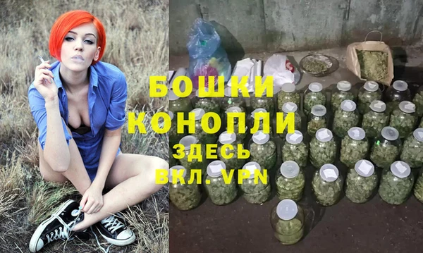 прущие грибы Белоозёрский