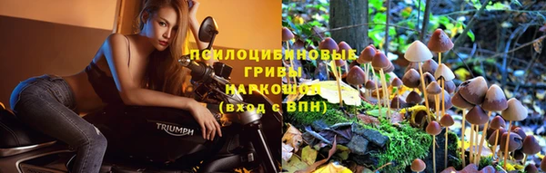 прущий лед Беломорск