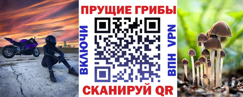 Галлюциногенные грибы прущие грибы закладка ссылка на мегу как зайти Олёкминск